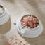 Eden Salt Cellar Set