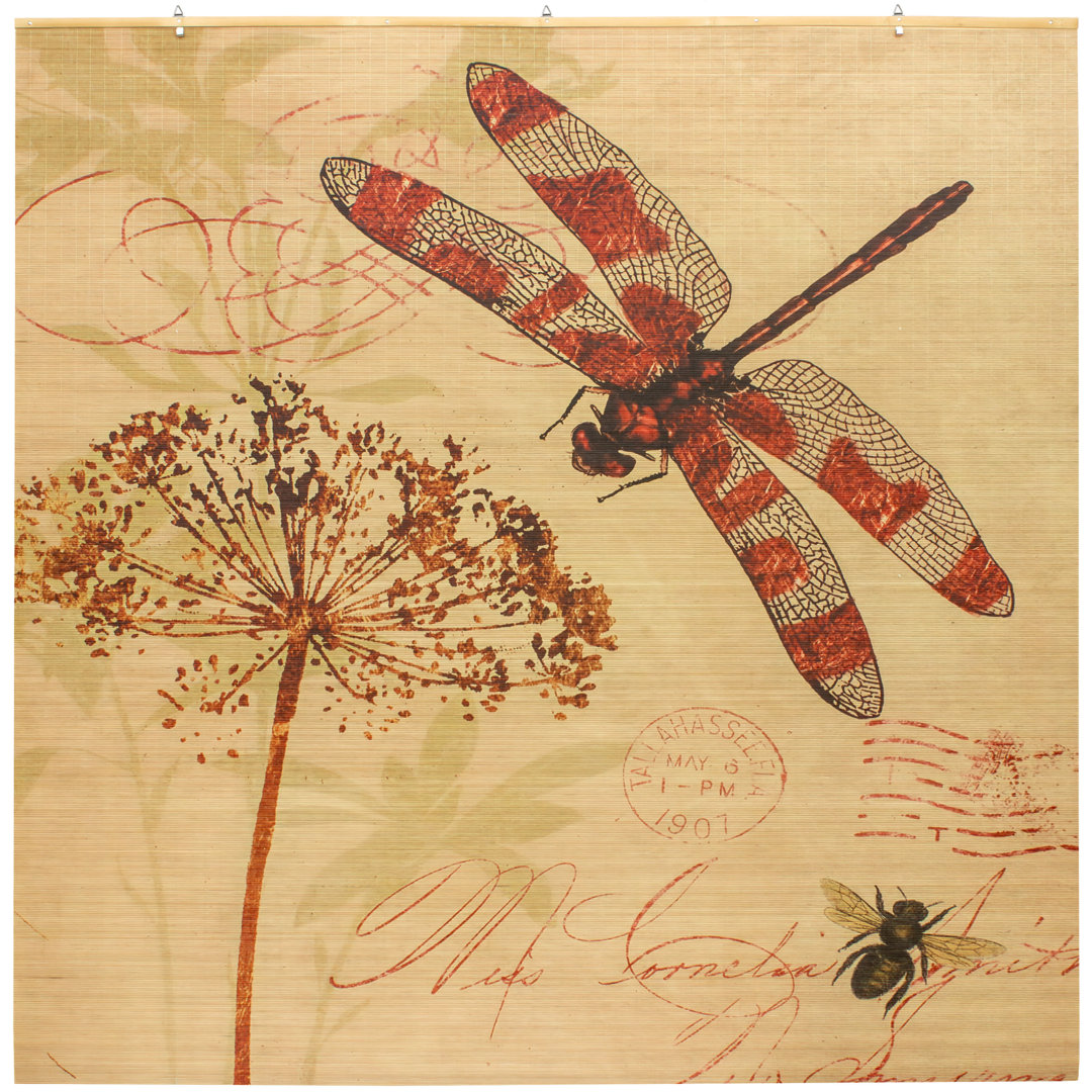Bamboo Window - Dragonfly Semi-Sheer Brown/Red Roman Shade Winston Porter Length & 