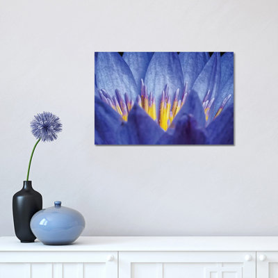 Lotus #2 1 Piece Wrapped Canvas Wall Art