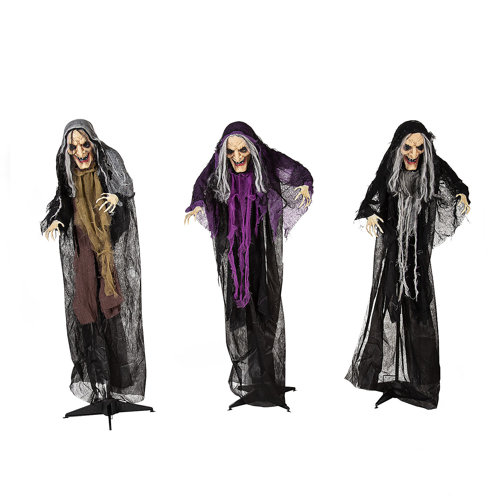 The Holiday Aisle® 3 Piece Witches Garden Stake Set & Reviews | Wayfair