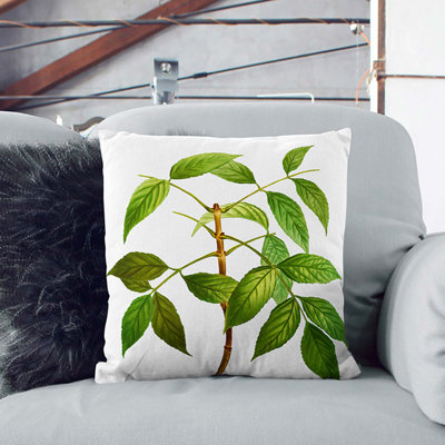 Square Throw Cushion