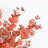Hamlin Silk Eucalyptus Arrangement-379087890