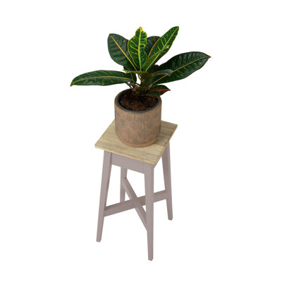 Decatur Plant Stand