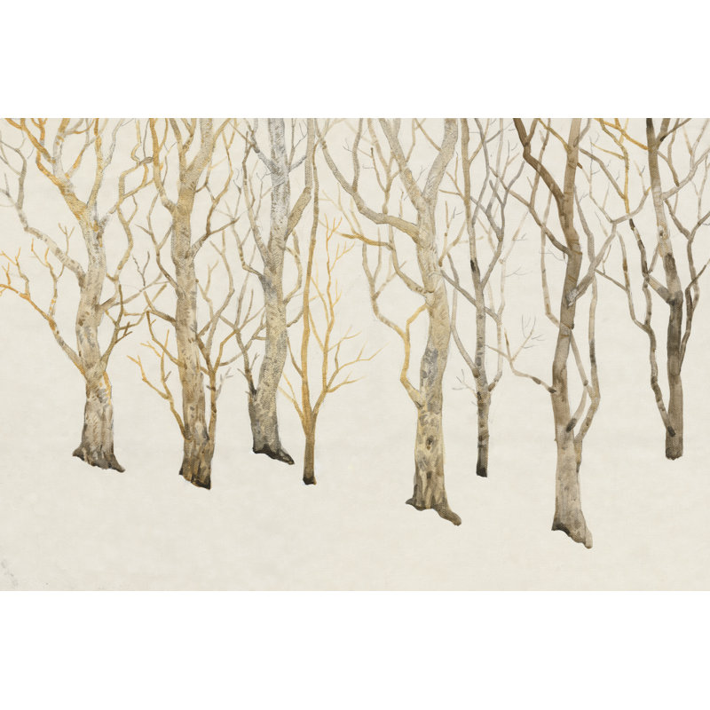 Bare Trees II by Tim OToole - Wrapped Canvas Print, 51cm H x 76cm W