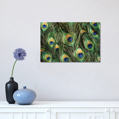 Indian Peafowl Display Feathers, Native to India and Southeast Asia 1 Piece Wrapped Canvas Wall Art