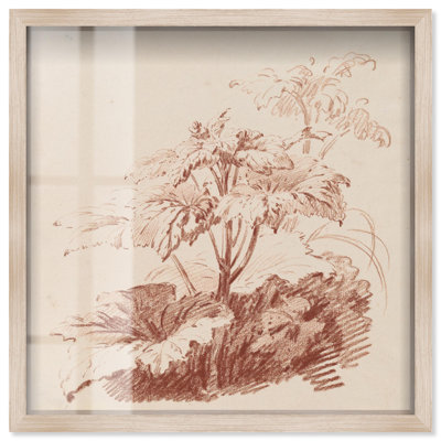 «Red Chalk Plant I Botanical Art Shadowbox» par Art Remedy
