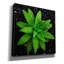«The Green Bloom Crop» par Epic Portfolio, estampe numérique sur toile-55011063