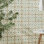 Casablanca 5" x 5" Ceramic Patterned Floor Use Tile