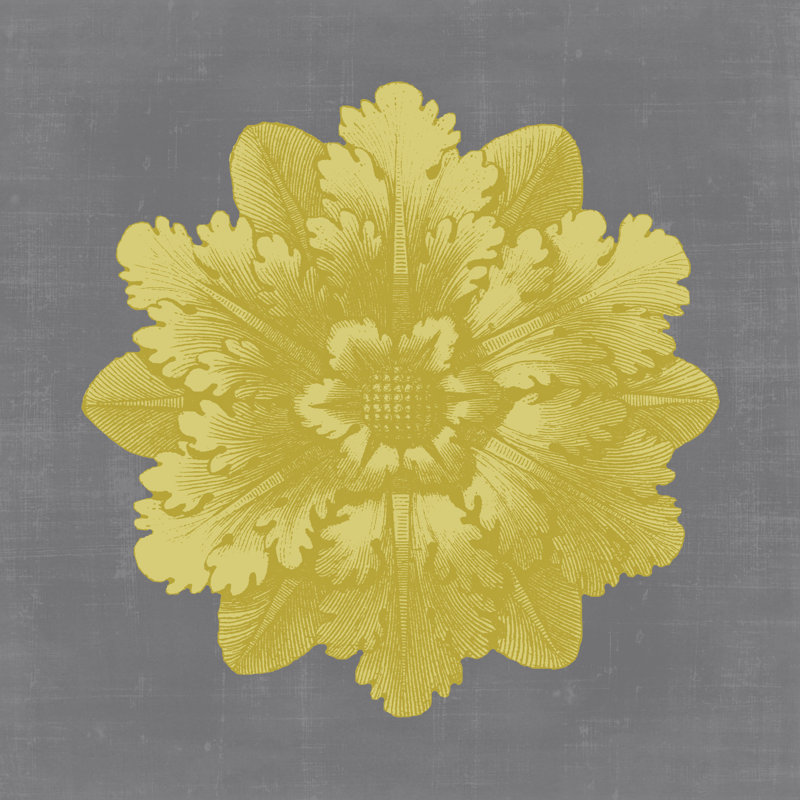 Gilded Rosette V by Vision Studio - Wrapped Canvas Art Prints, 30cm H x 30cm W