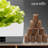 SereneLife Hydroponic Unit