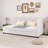 Daybed with Trundle Twin Size Sofa Bed-1950348397