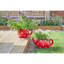 Tamoa Statue Planter