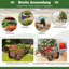 Axania Wood Wheelbarrow Planter