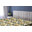 Vert olive, terre, jaune / floral