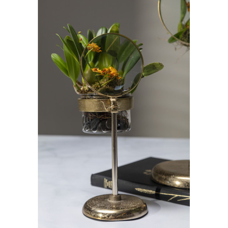 Verre espion, H 11,5 po x l 6,5 po x P 4,25 po