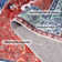 Machine Washable Indoor&Outdoor Area Rug Non-Slip Backing Red Vintage Low Pile Rug for Living Room Bedroom Dorm Hotel