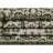 Outdoor Chand Area Rug Ivory-Green Color-2117883945