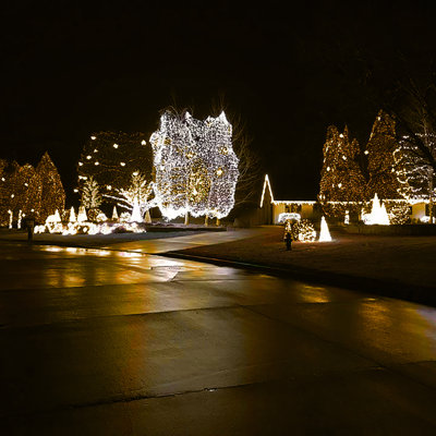 5mm Lightsets 24'' LED String Lights