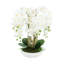 Orchid Arrangement in Round Fiberstone Pot-1233830117