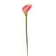 Tige de lys Calla-29312063
