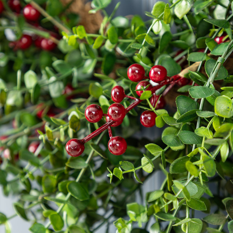Couronne d'eucalyptus avec baies rouges Ace