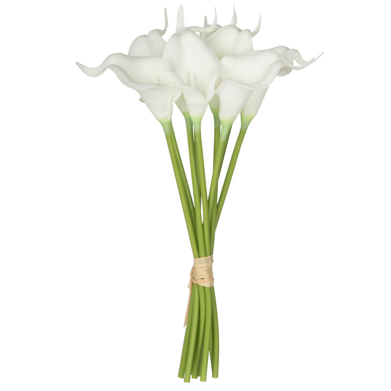 Calla Lily Bush, Blanc / vert