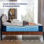 Azure Blush Collection Resspry Mattress-115691575