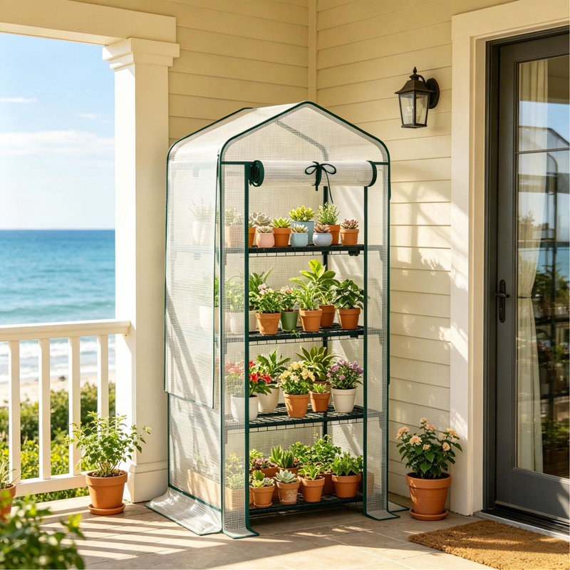 Petite serre de patio, petite serre extérieure, petite serre portable, petite serre de jardin