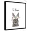 Le lapin est courage-48187568-48187588