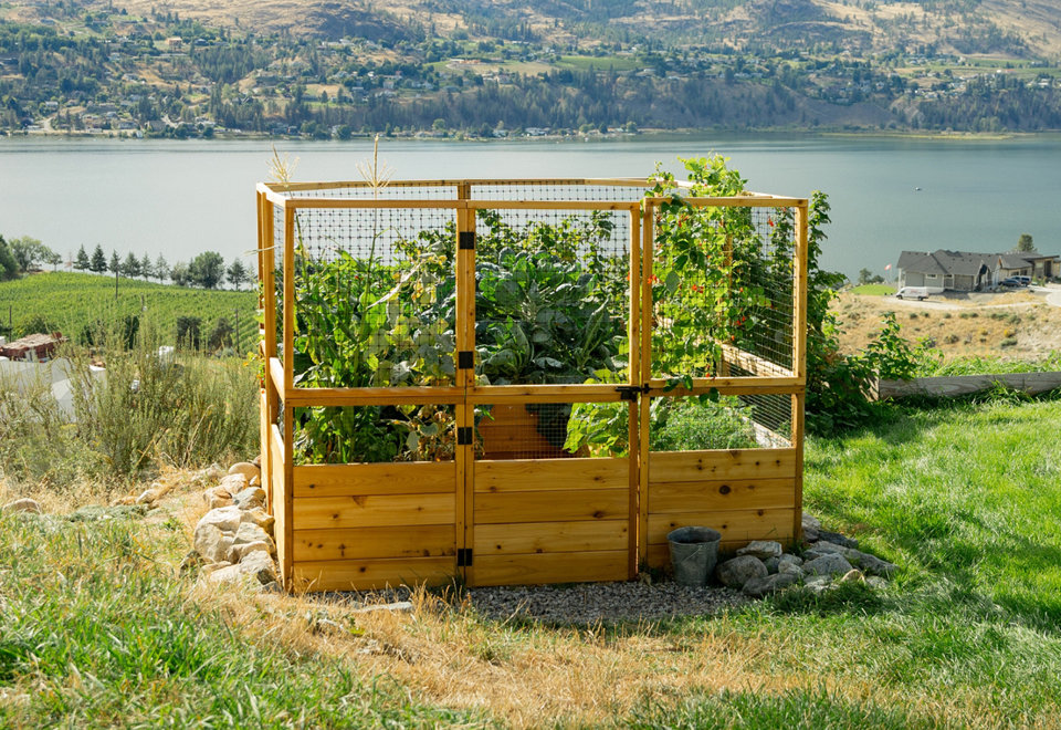Shop Raised Garden Beds