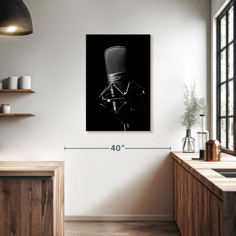 Abarca Studio Microphone, 36" H x 24" W