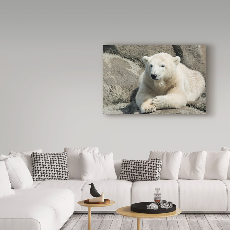 « polar bear », reproduction de photo sur toile tendue, H 16 po x l 24 po x P 2 po