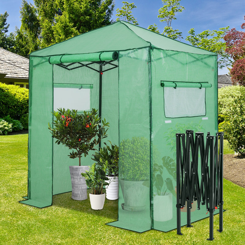 Pop Up Greenhouses 6 ft x 4 ft Greenhouse, Green