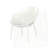 Accent Chair(Set Of 2)