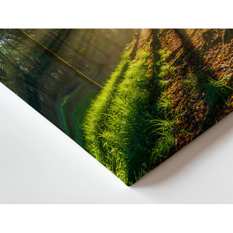 Reproduction d'art sur toile, "Scène de forêt sereine baignée de soleil doré avec rayons", H 30 po x l 20 po