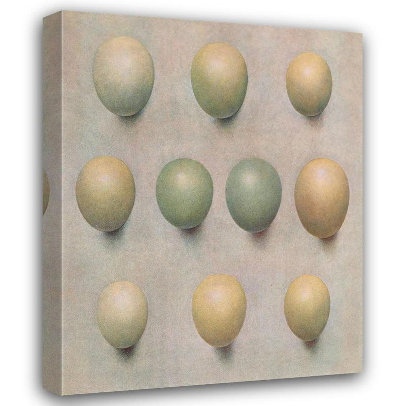 «Eggs of British Diving Ducks» par Henrik Gronvold - Art mural sur toile tendue avec châssis, H 18 po x l 14 po