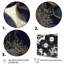 Blue Gold Peony Celebration II, reproduction d'art sur toile-88544021-88544015