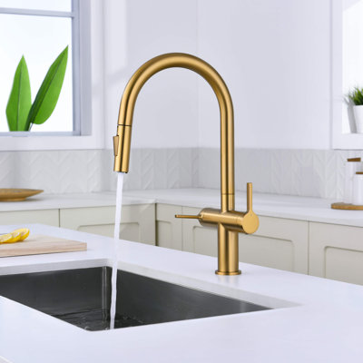 Novo Single Hole Two Handle Pull Down Kitchen Faucet