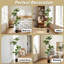 Fausse plante-1782331778