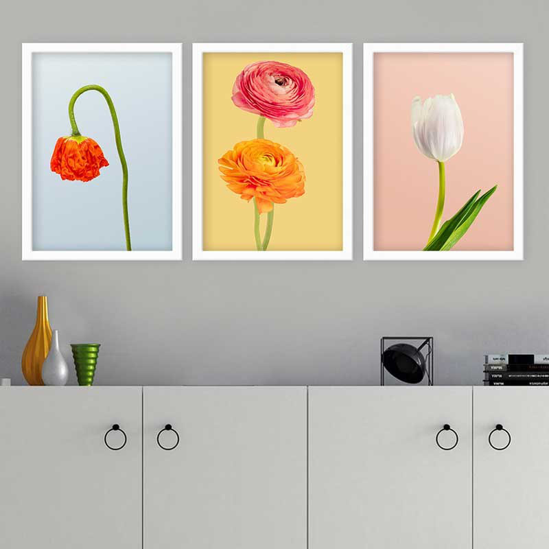 Elegant Decorative Framed Painting Set (3 Pieces), 13.8 x 17.7 inches Each | 100% Wooden with 100% Polystyrene Frame (Thickness: 0.8 inches) | UV Digital Printing, Perfect for Living Room & Home Décor