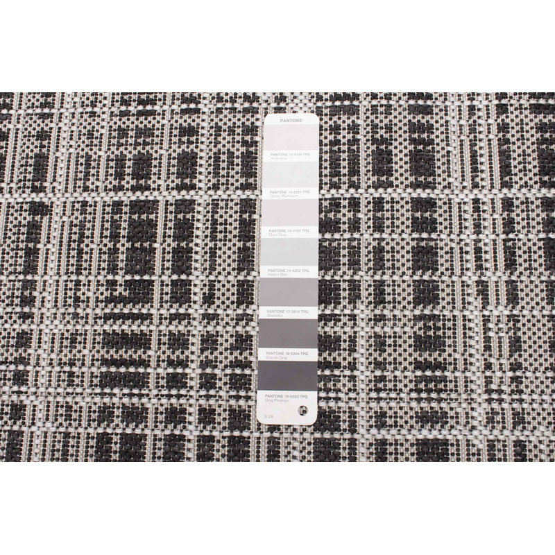 Vista Indoor / Outdoor Rug, Rectangle 2'2" x 3'11"