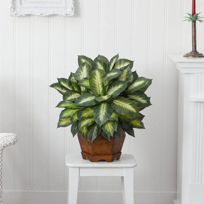  Golden Dieffenbachia Silk Plant
