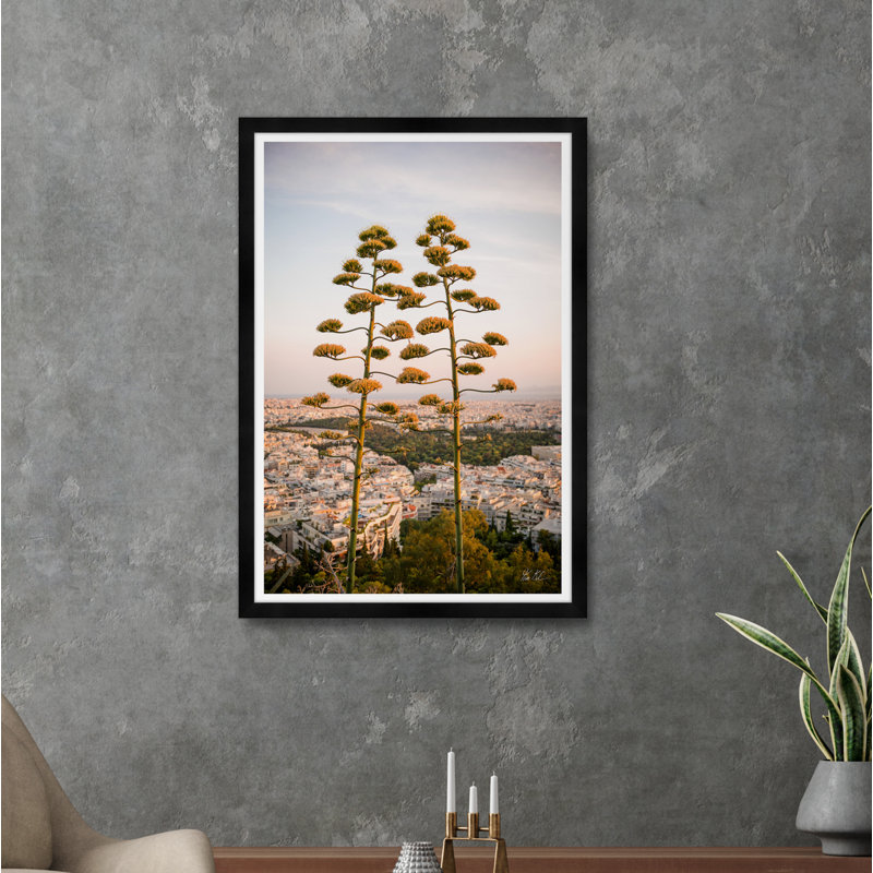 Agave Trees On Hills of Athens II par Tim Klein - photographie avec cadre