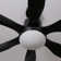 Leibman 6-Blades 66" Ceiling Fan with Remote Control and LED Light