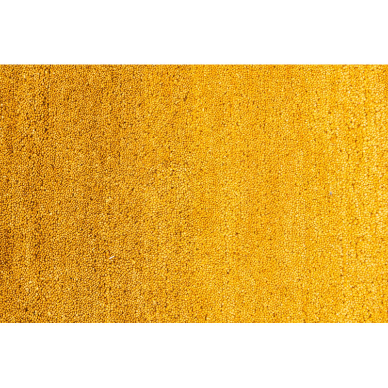 Nugent Yellow Rug