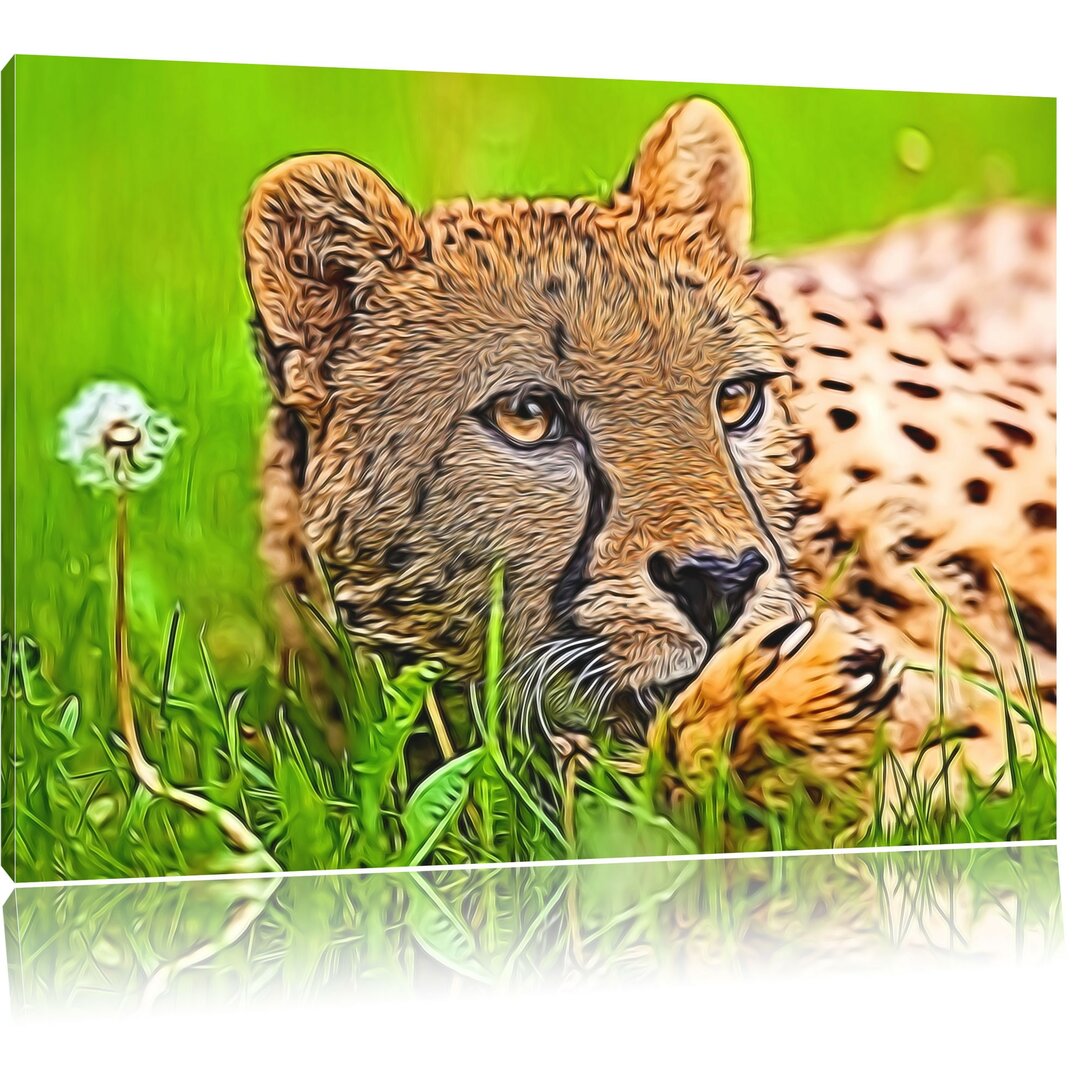 Leinwandbild Gepard im Gras