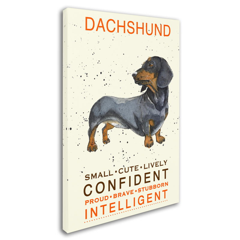 «Dachshund Print», reproduction d'impression sur toile tendue, H 24 po x l 16 po