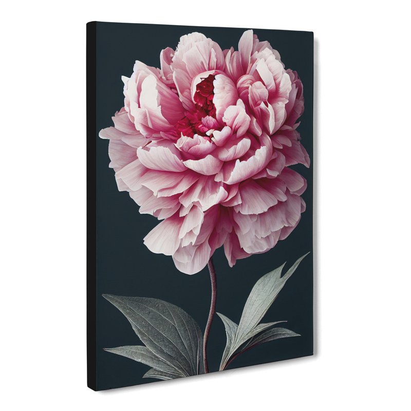 Pittsford Peony Flower Portrait - Wrapped Canvas, 50cm H x 35cm W x 3cm D