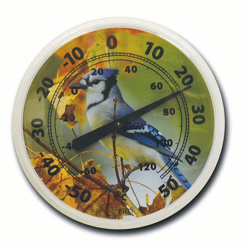 Thermomètre à geai bleu