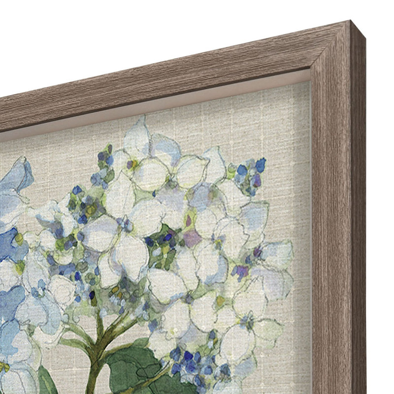 «Hydrangea Study», art encadré